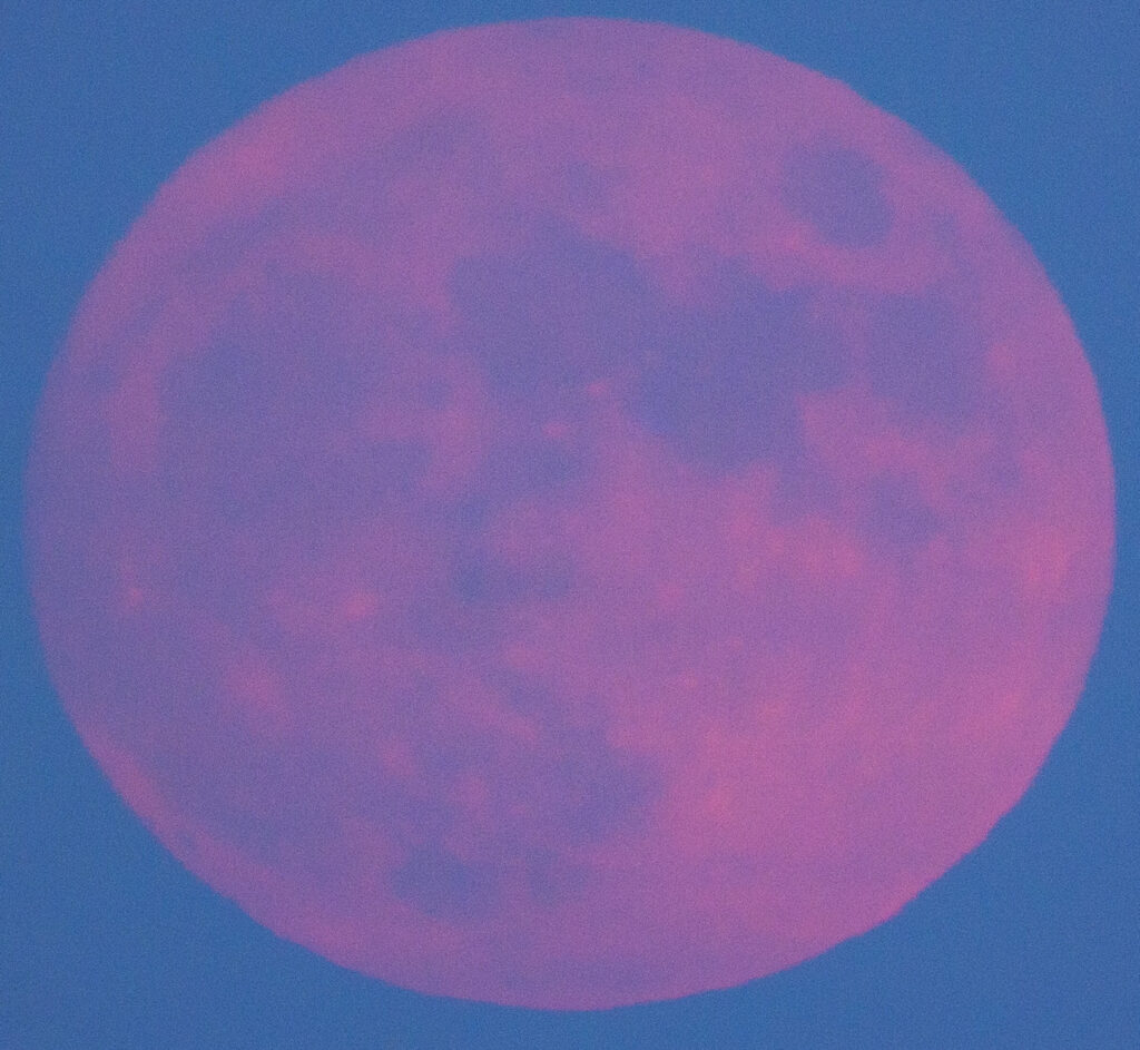 Why Pink Moon? Colors Of The Moon in a Moonrise 23 July 2021